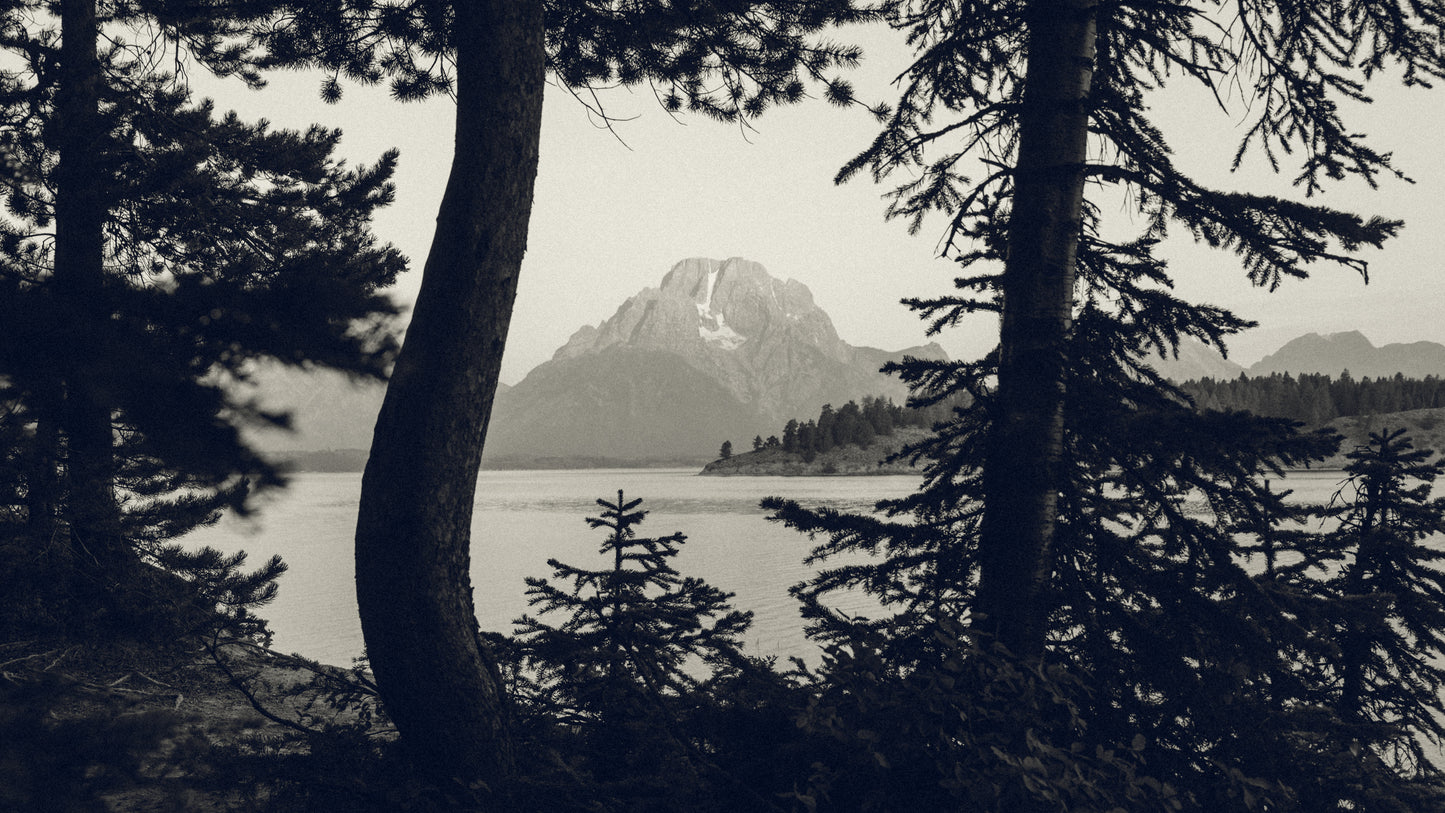 Teton BW