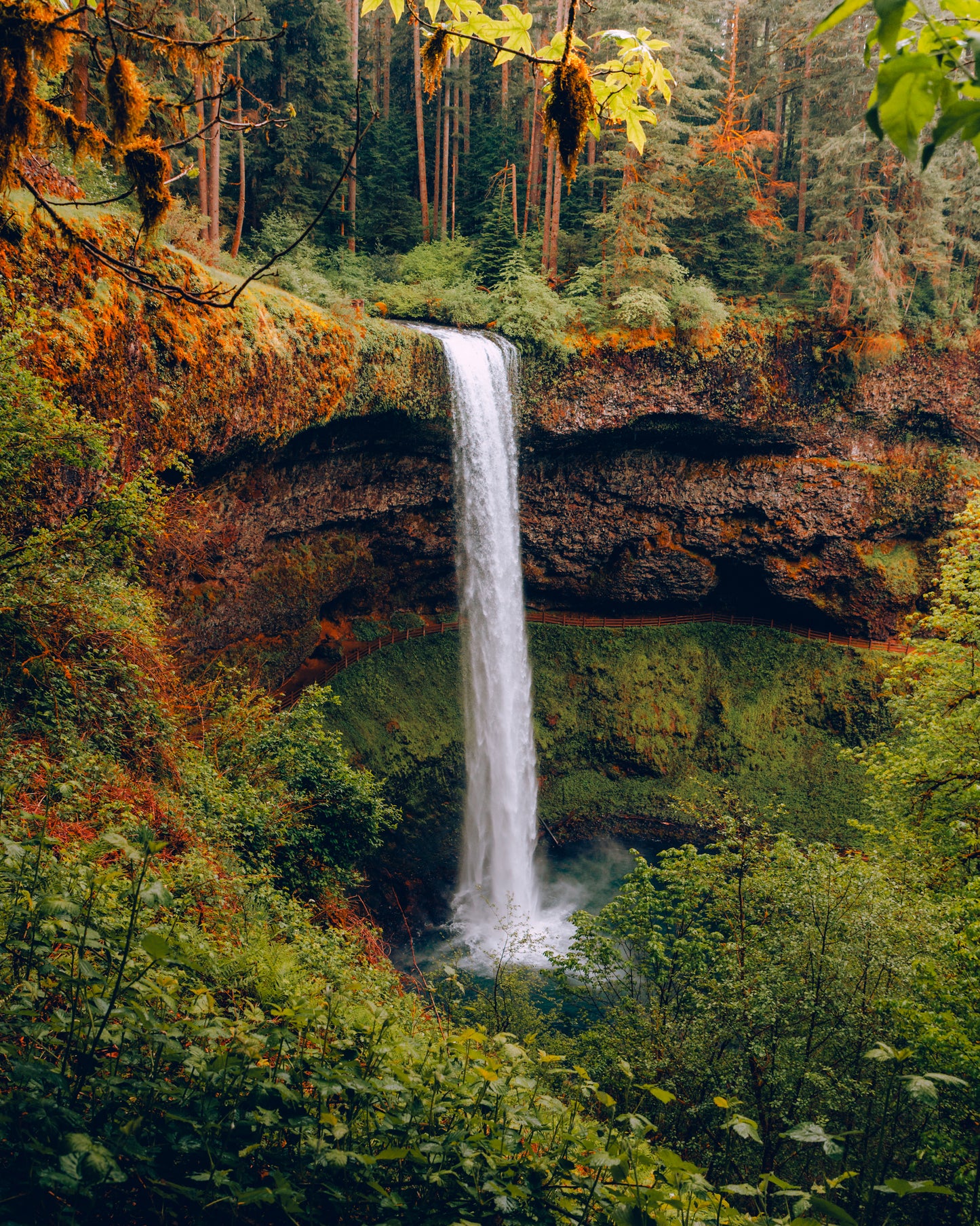 Silver Falls (Vertical)