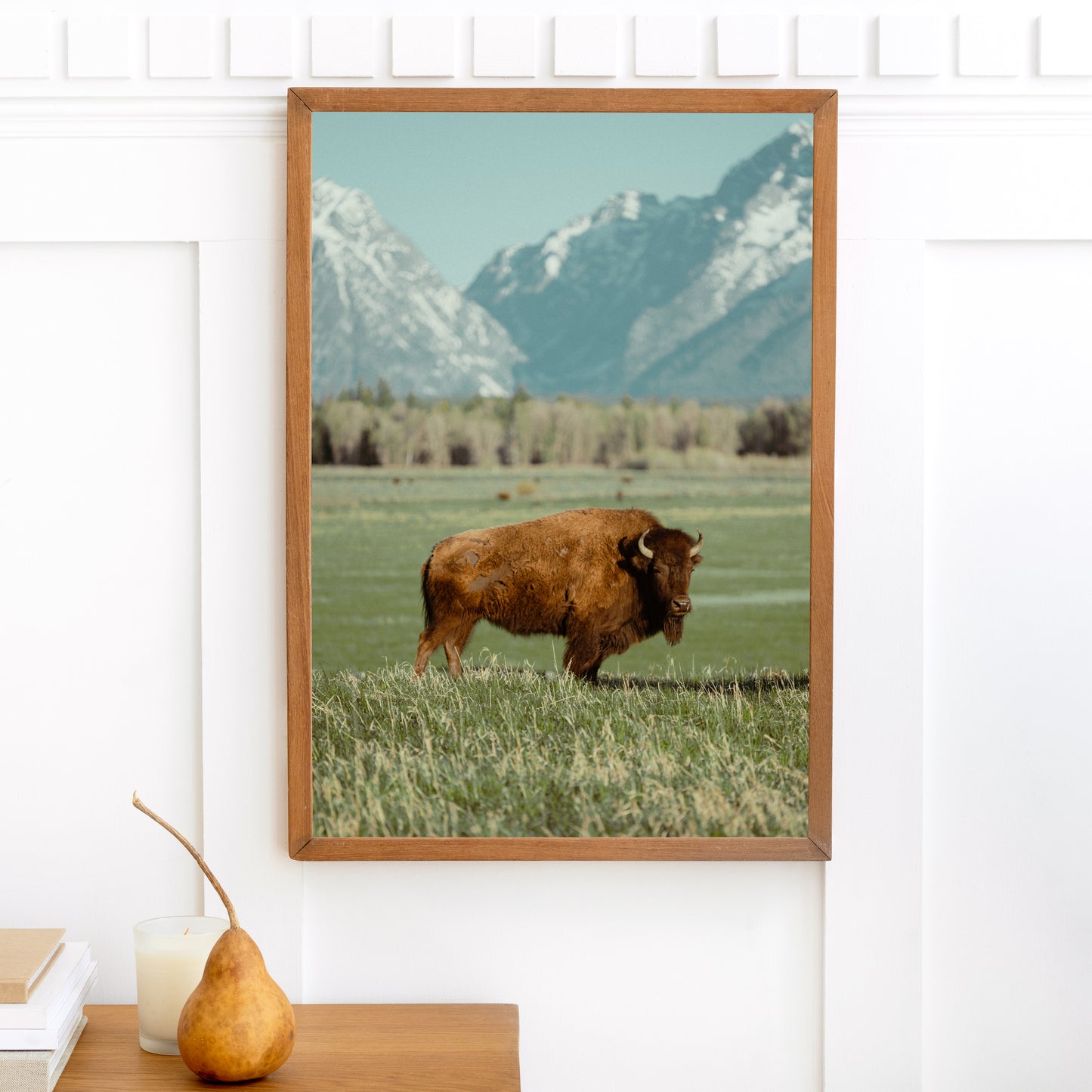 Grand Teton Bison